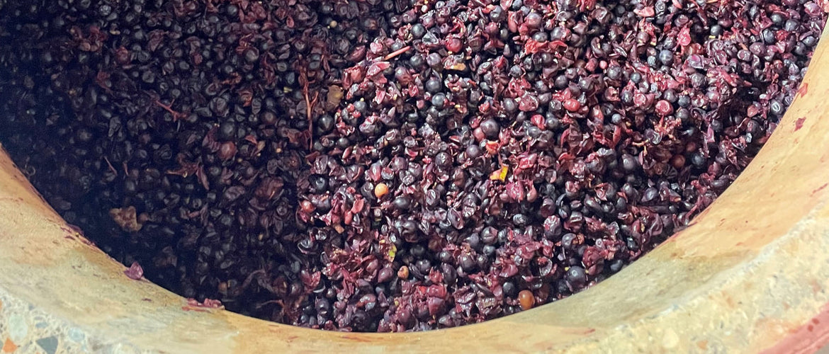 Eggs, Amphora, and Balls - Oh My!