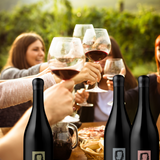 Single Vineyard Grenache 2023 Mixed Pack