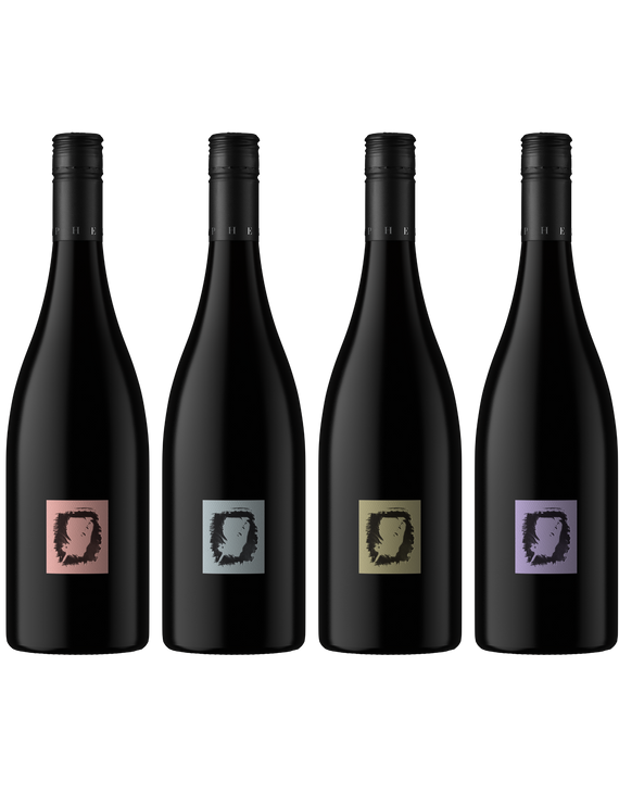Four dark wine bottles with minimalist square labels in pink, gray, gold, and purple, arranged side by side on a white background.