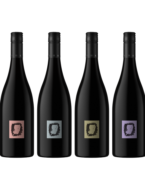 Four dark wine bottles with minimalist square labels in pink, gray, gold, and purple, arranged side by side on a white background.