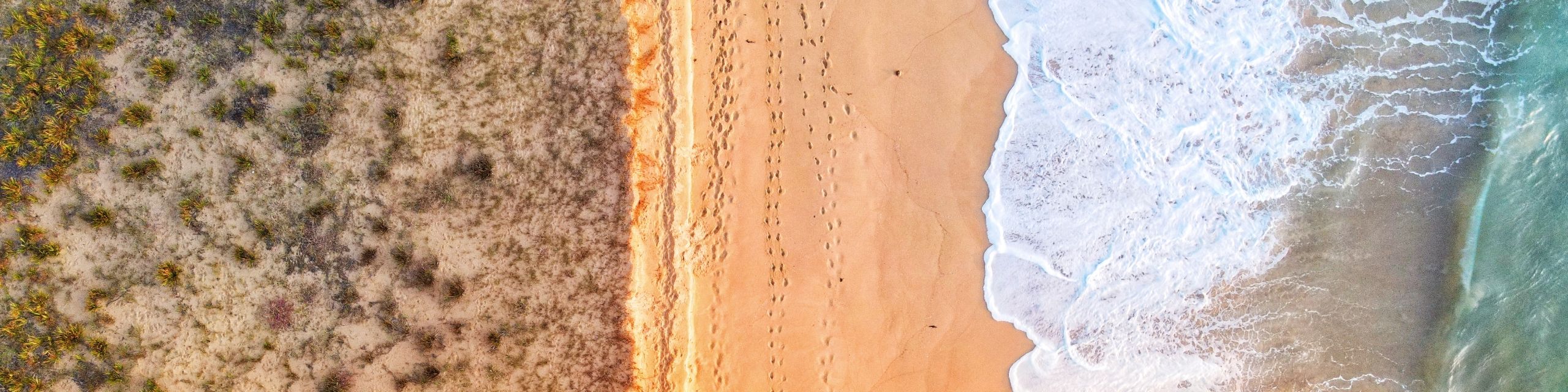 International Delivery Worldwide From Our Cellar Door | Aphelion Wines