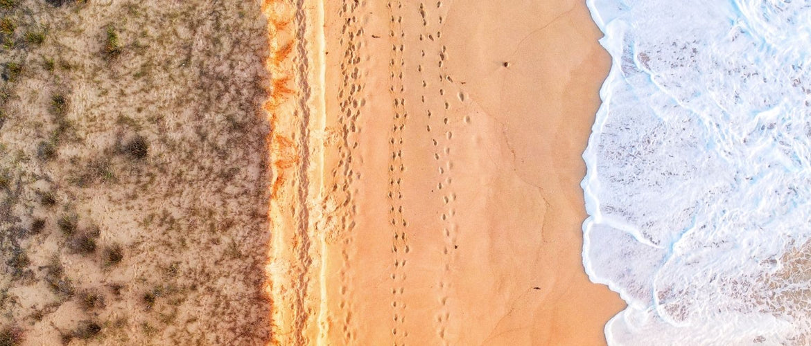 International Delivery Worldwide From Our Cellar Door | Aphelion Wines