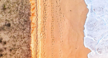 International Delivery Worldwide From Our Cellar Door | Aphelion Wines