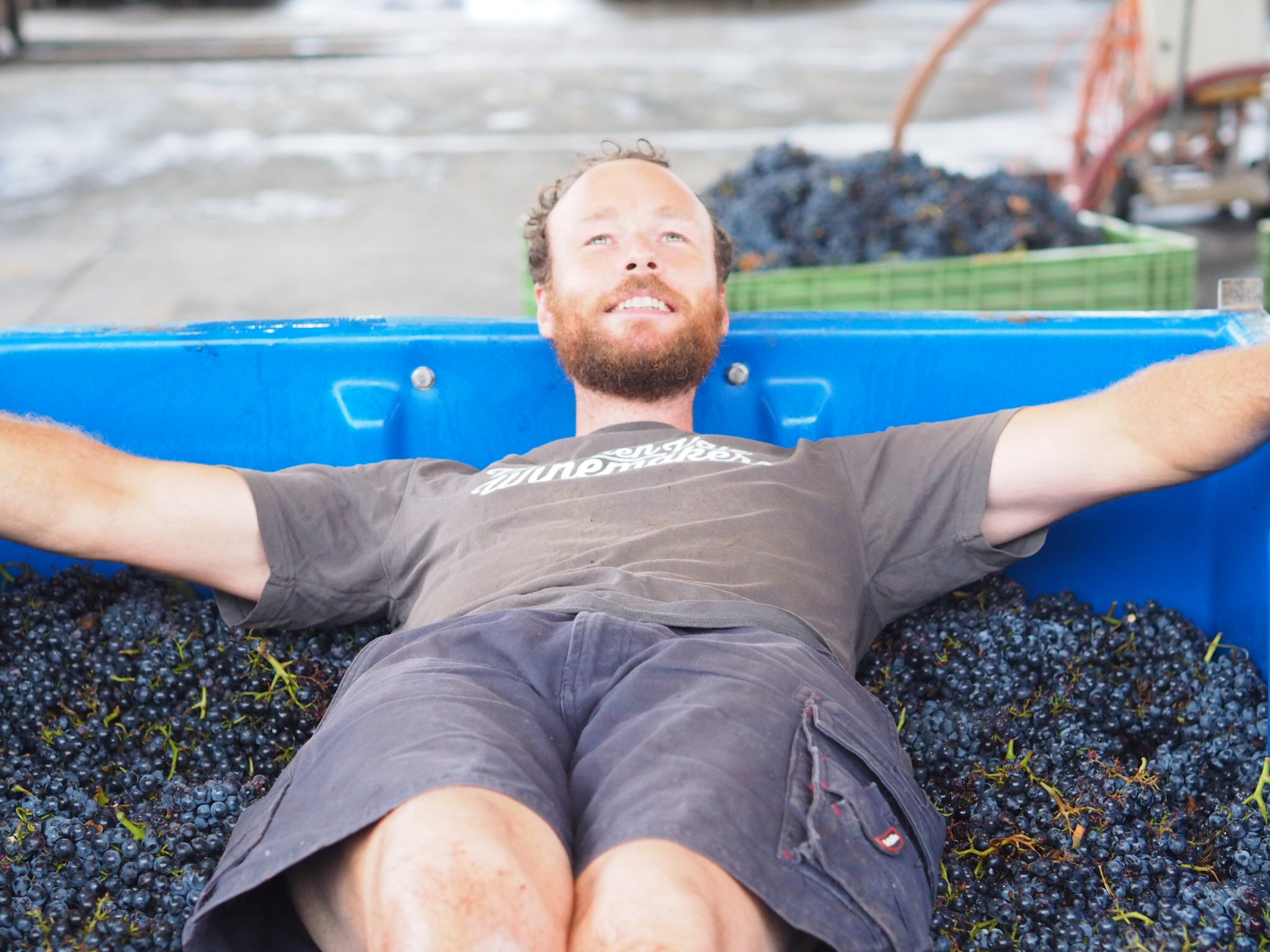 VINTAGE 2017 BY THE LUCKY NUMBERS