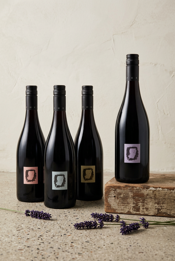 Four dark wine bottles with minimalist square labels in pink, gray, gold, and purple, arranged side by side on a white background.
