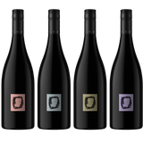 Four dark wine bottles with minimalist square labels in pink, gray, gold, and purple, arranged side by side on a white background.
